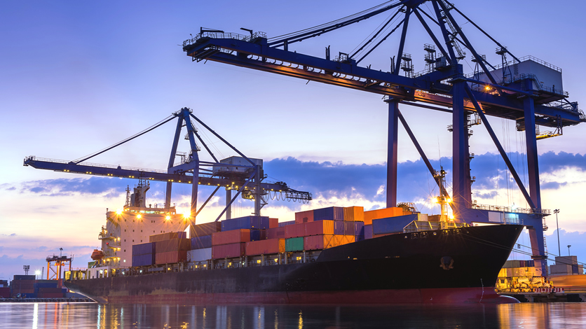 DUIMP Declaração Única de Importação